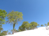 IMG_1233_5-18-2022