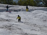 P1010941_5-17-2026
