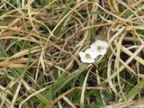 IMG_1278_5-21-2022
