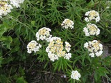 ��ޥϥϥ�_8485_8-16-2025