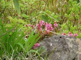 IMG_2000_6-14-2022
