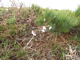 IMG_1288_5-21-2022