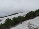 IMG_7861_6-4-2025