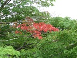 IMG_8513_8-16-2025