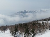 2019.3.6k