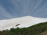 IMG_7981_6-7-2025