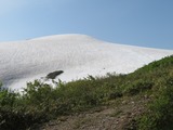 IMG_8035_6-7-2025