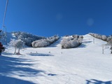 IMG_6438_11-29-2025