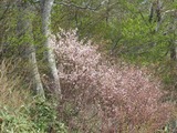 IMG_1258_5-20-2022
