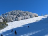 IMG_6477_11-29-2025