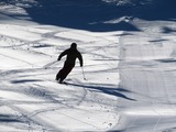 IMG_7880_11-30-2021