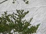IMG_1257_5-20-2022