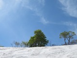 IMG_7536_4-23-2025
