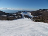 IMG_7915_12-3-2021