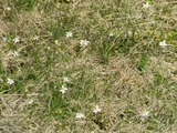 IMG_1388_5-24-2022