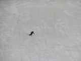 IMG_1303_5-21-2022