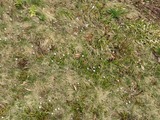IMG_1262_5-20-2022