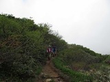 28b