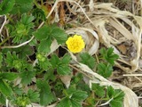 IMG_1281_5-21-2022