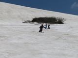 IMG_7955_6-7-2025