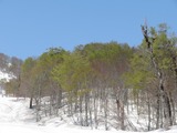 IMG_0880_5-4-2022