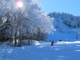 IMG_6443_11-29-2025