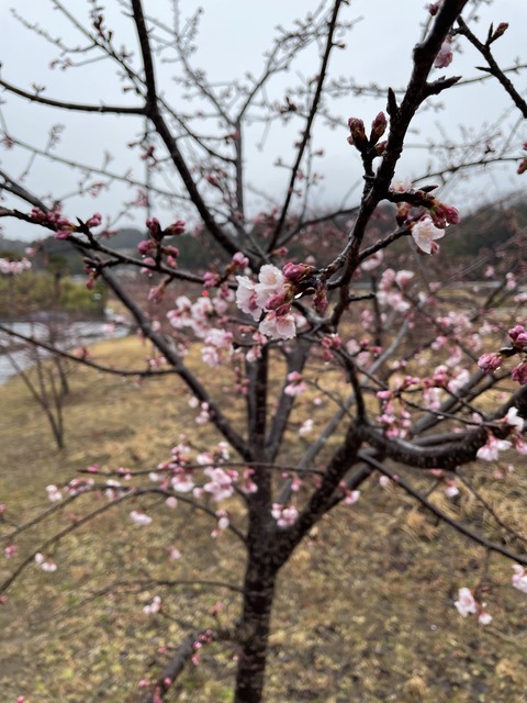 ブログ写真③ 福島