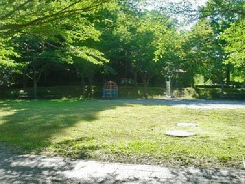 20051