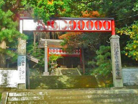28025