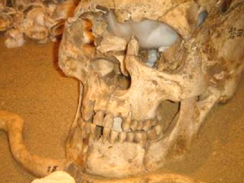 縄文人の人骨出土 縄文時代中期～晩期の貝塚 西貝塚遺跡 (静岡県磐田市