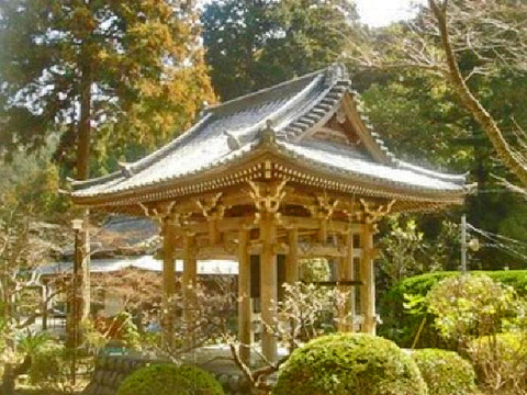 20074