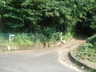 2003