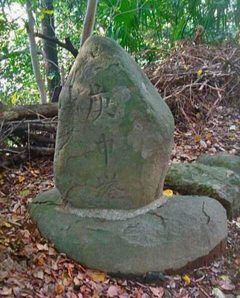28035