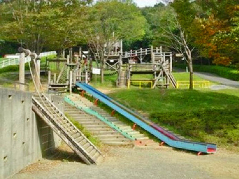 23185