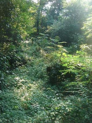 2007