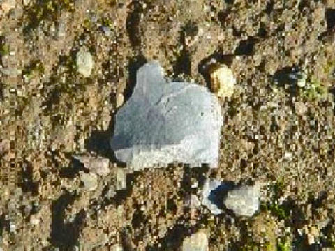 21908