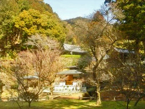 20070
