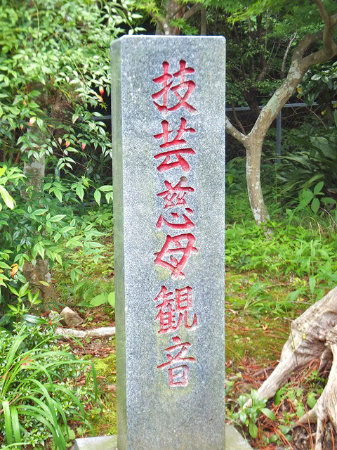34566