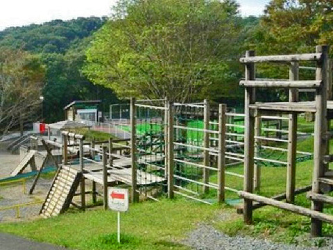 23184