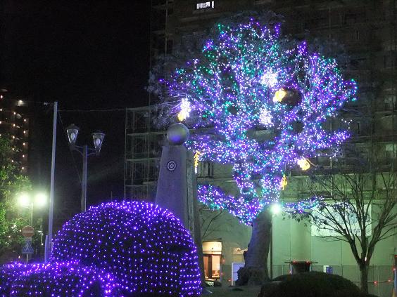 幸せを呼ぶとされるカツオくんを探そう！！ 約7万個のLED電飾が美しい