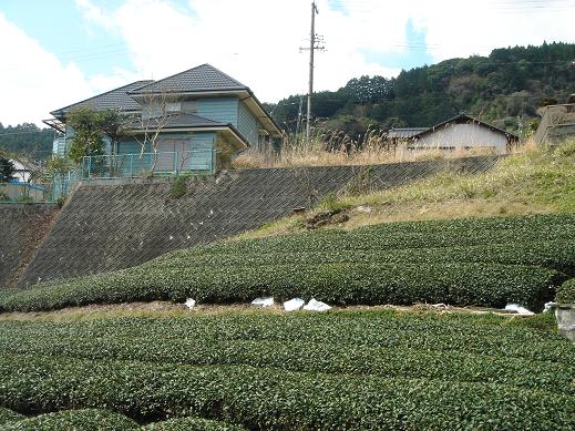 静岡県の遺跡・古墳・城跡ガイド