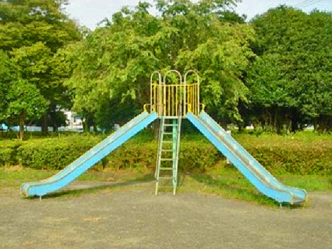 21173