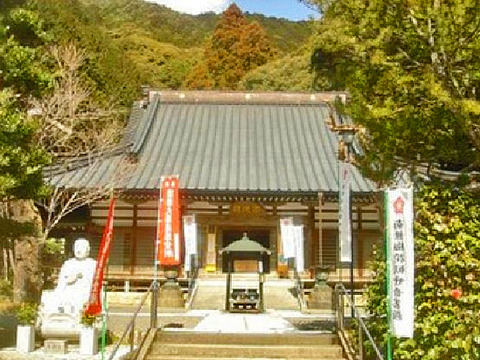 20064
