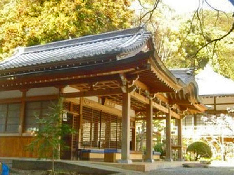 20073