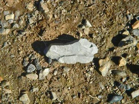 21907