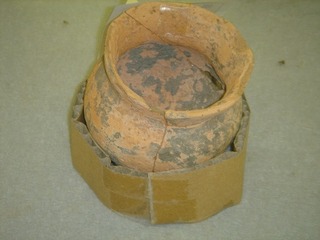 00shizuoka静岡観光おでかけガイド