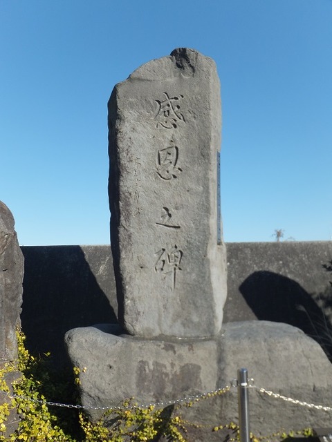 32504