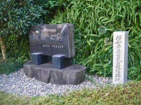 23234