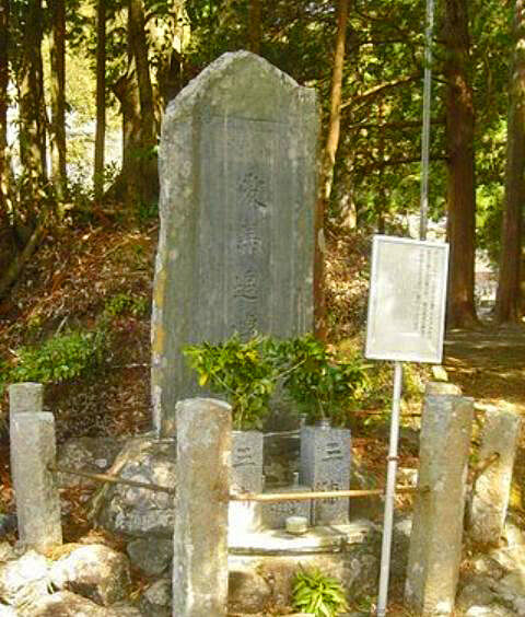 20065