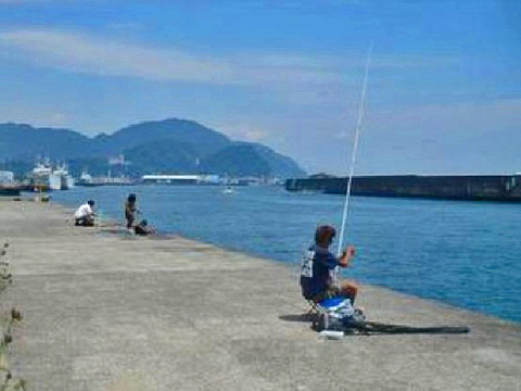 22236